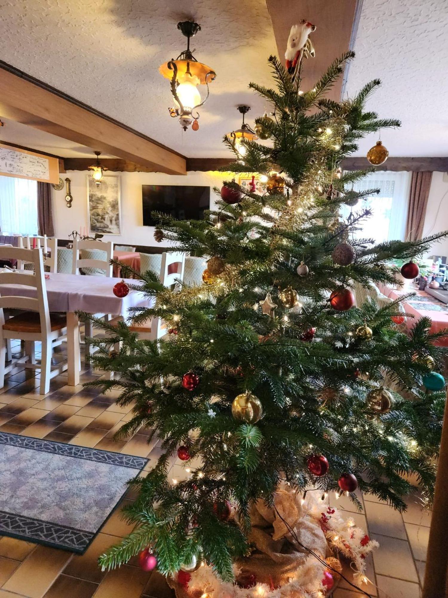 Gasthaus Hochwald Hattgenstein Экстерьер фото